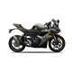 250 RR 250 RR