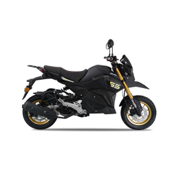 HAMMER 50 (Benzinli)
